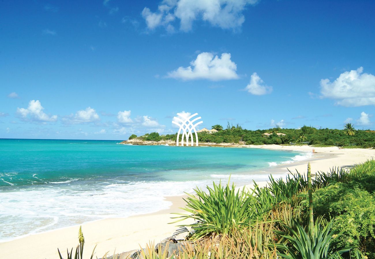 Villa à Terres Basses - Chateau des Palmiers