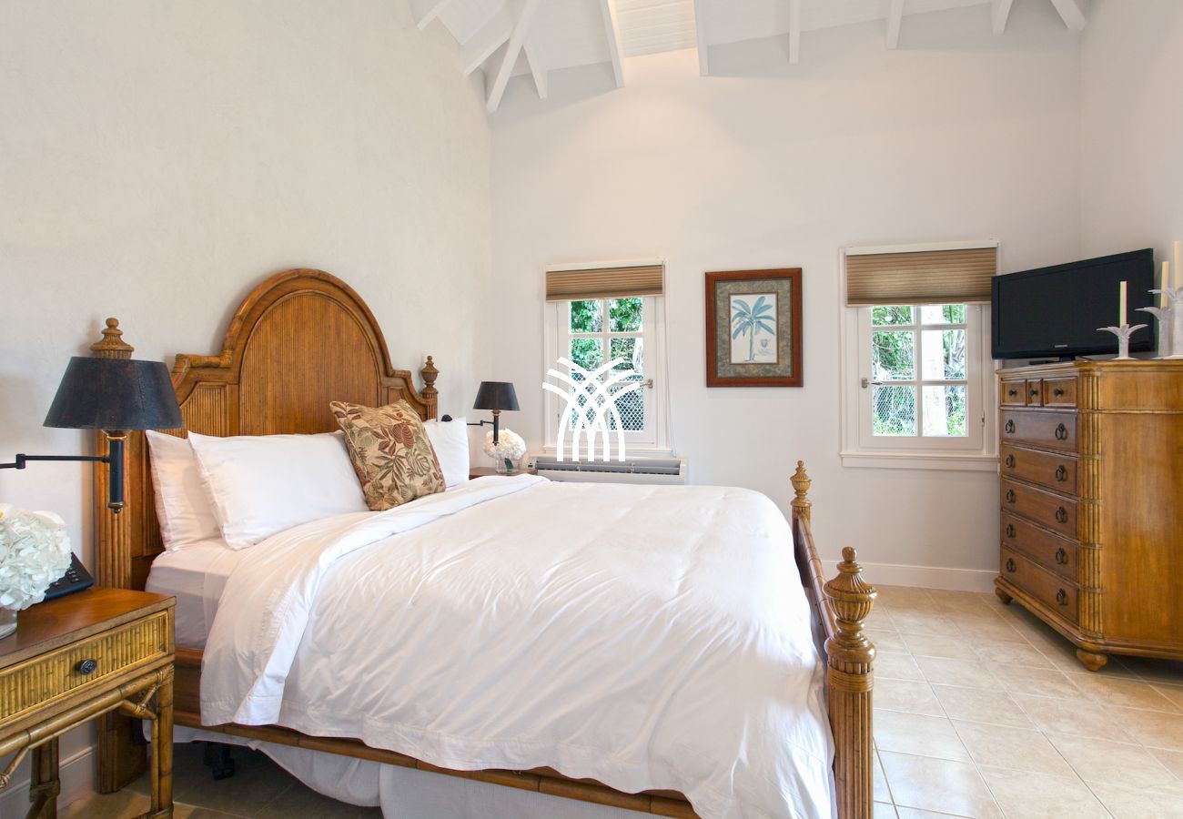 Villa à Terres Basses - Chateau des Palmiers