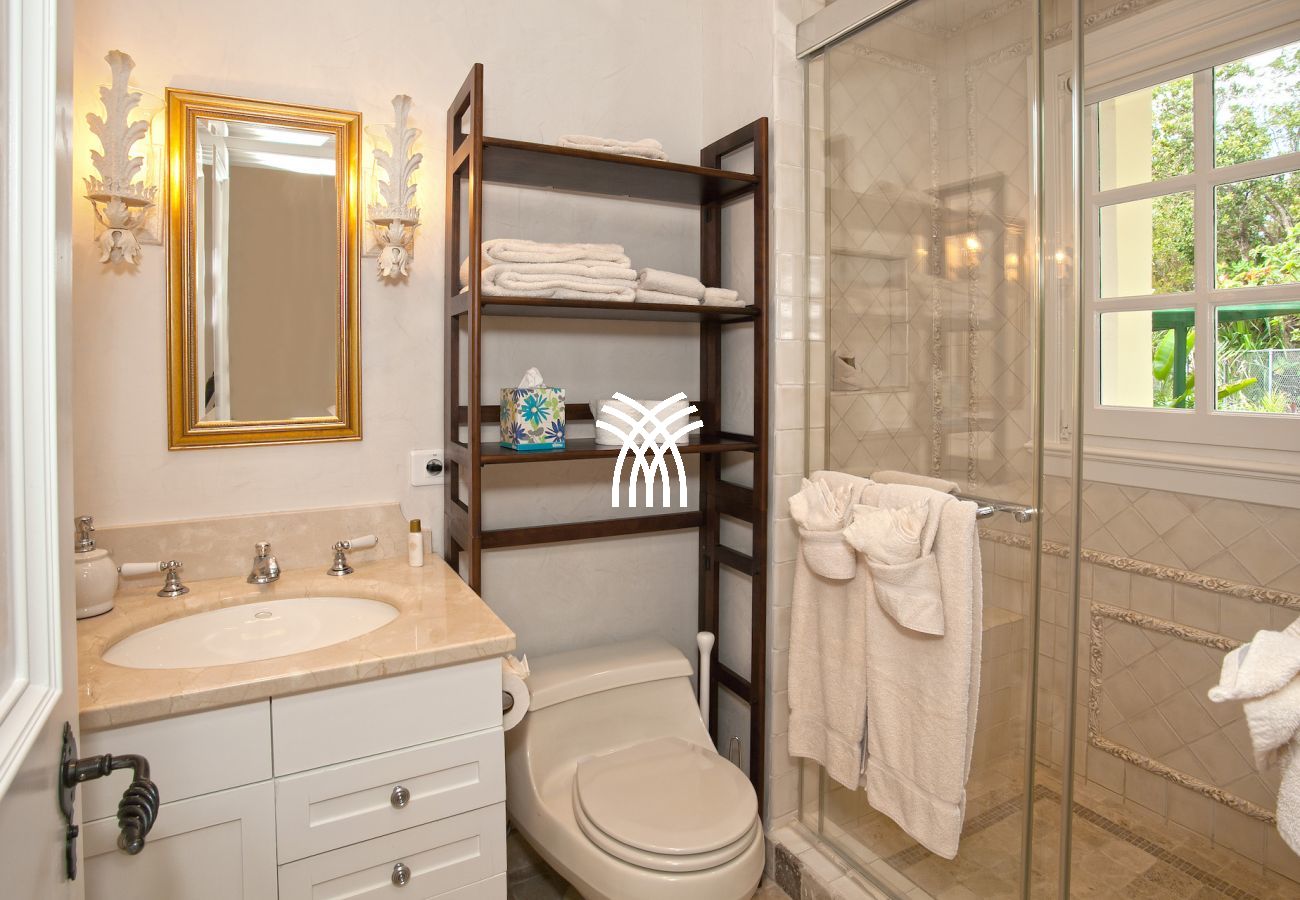 Villa à Terres Basses - Chateau des Palmiers