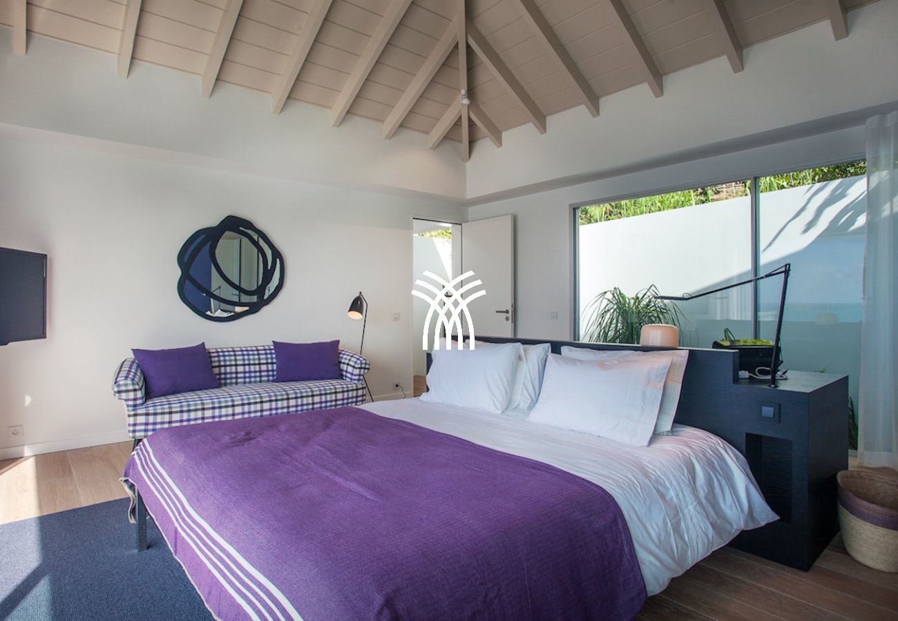 Villa à Saint Barthélemy - Wings