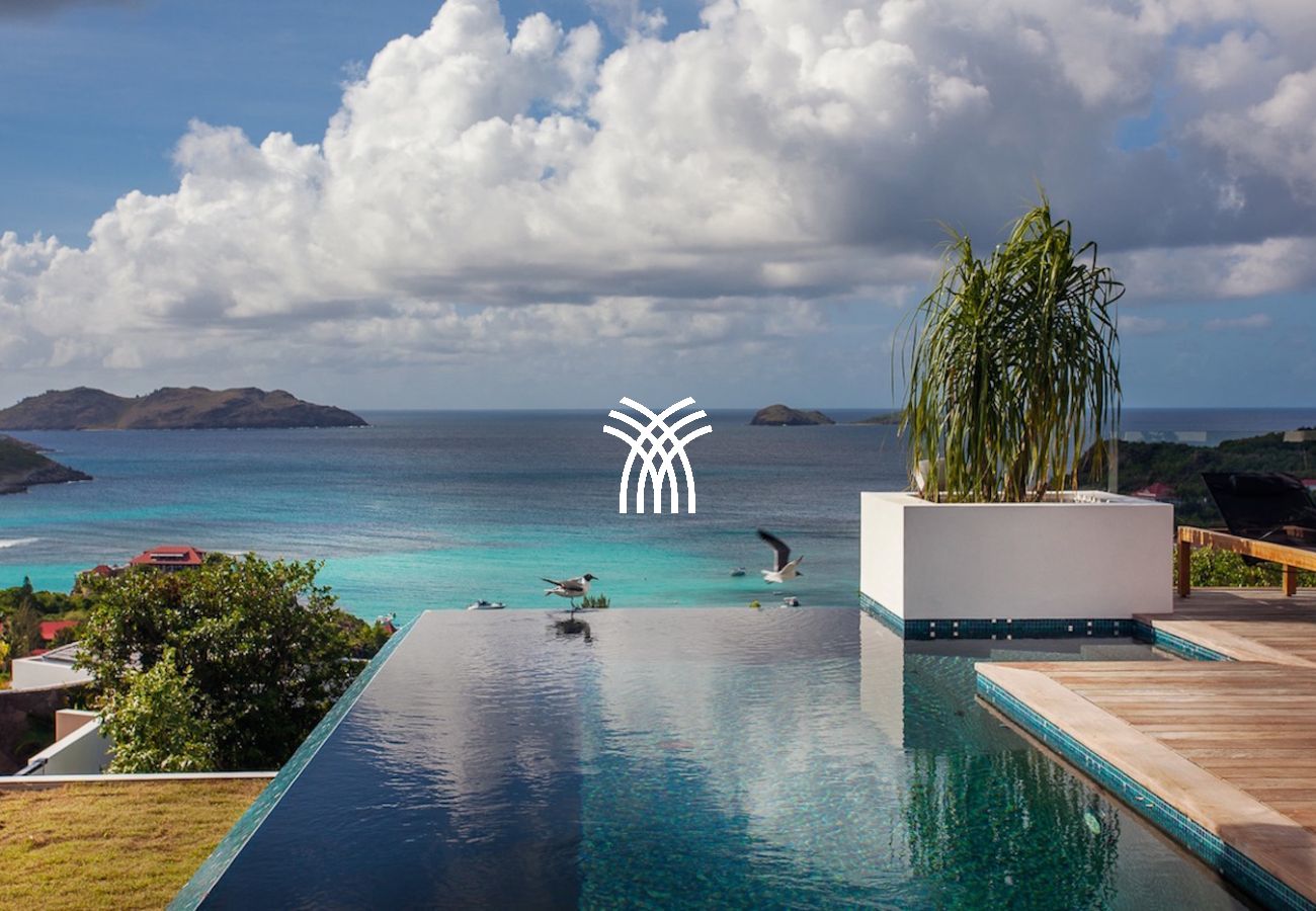 Villa à Saint Barthélemy - Wings