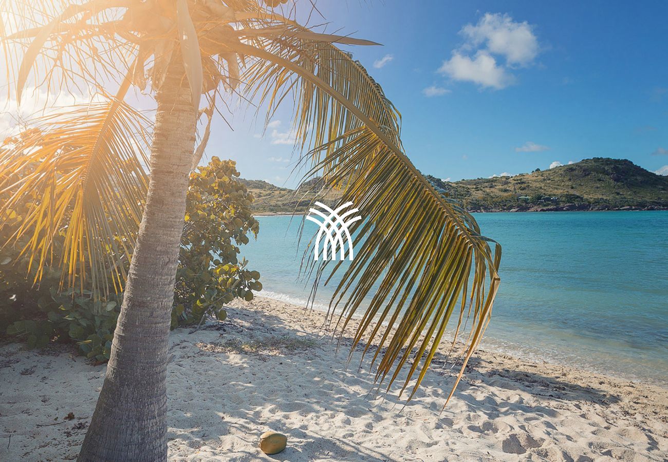 Villa à Saint Barthélemy - Petit Lagon