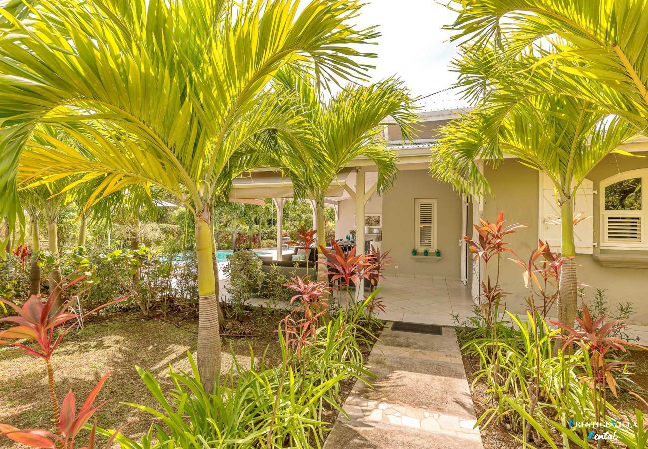 Villa à Le Vauclin - Areca Palm