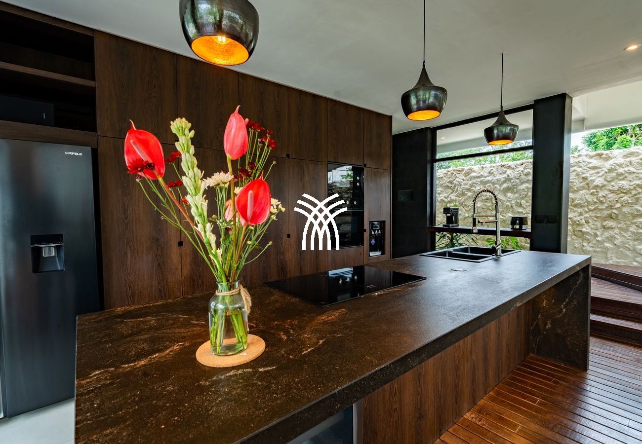 Villa à Mykonos - Adonis