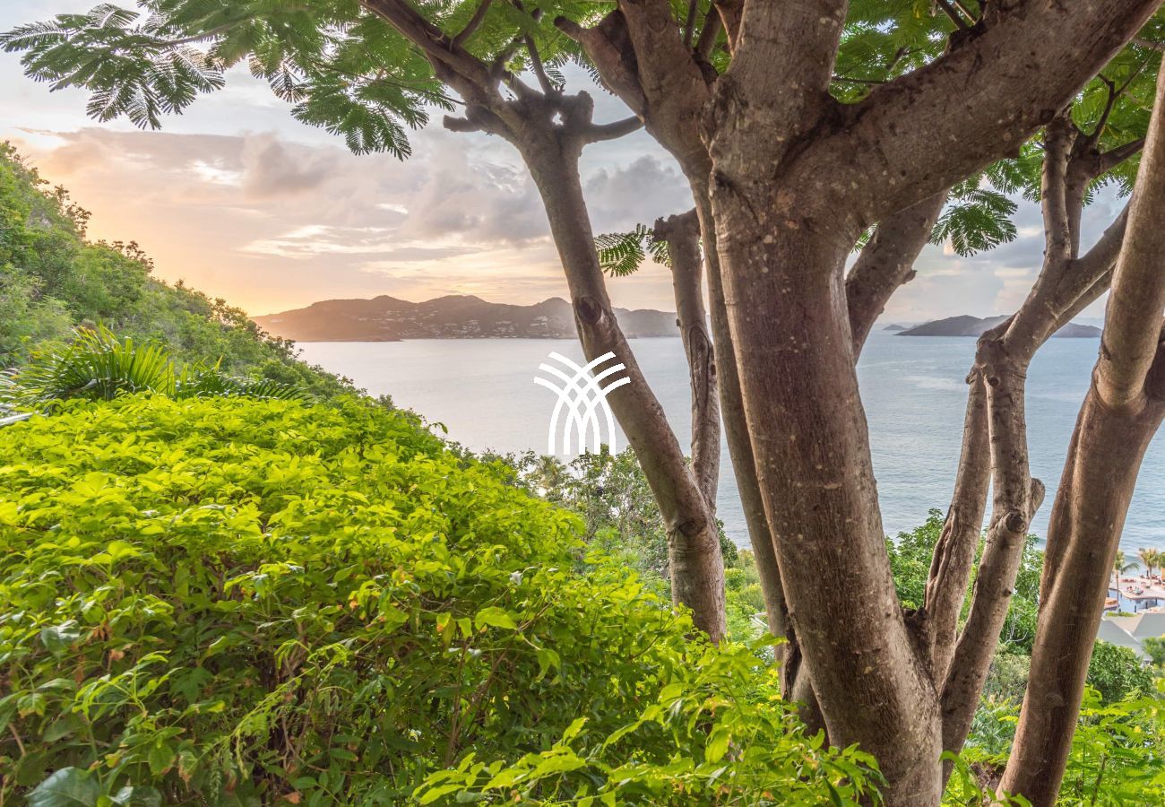 Villa à Saint Barthélemy - Alex