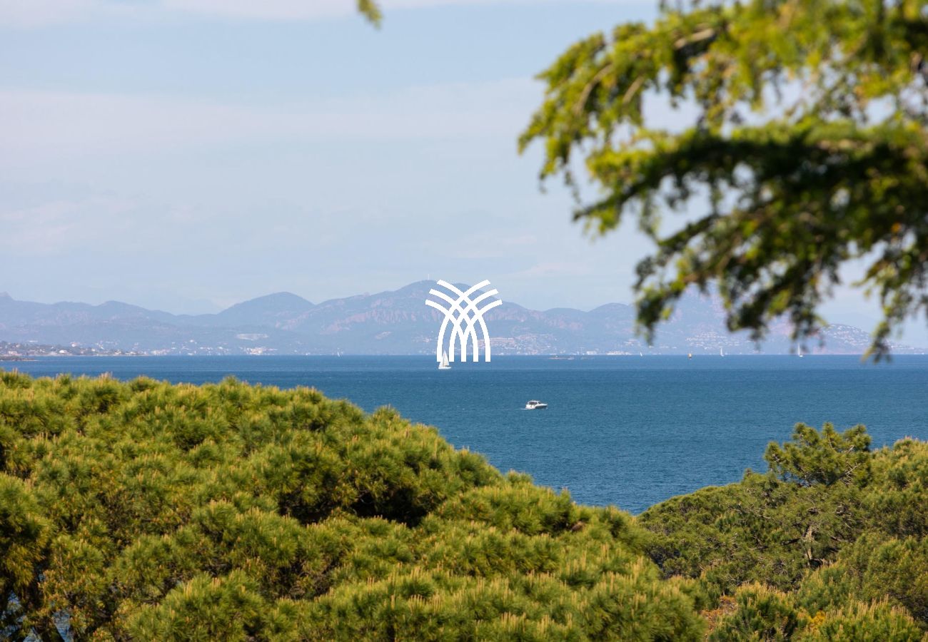 Villa à Saint-Tropez - Hirondelles