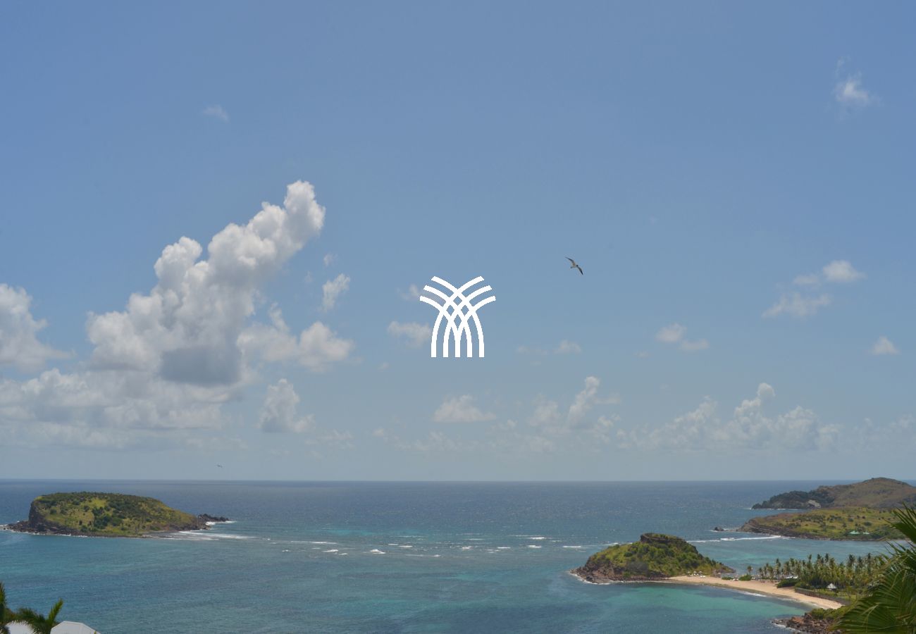 Villa à Saint Barthélemy - Alphane