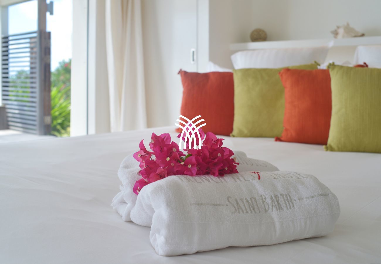 Villa à Saint Barthélemy - Alphane