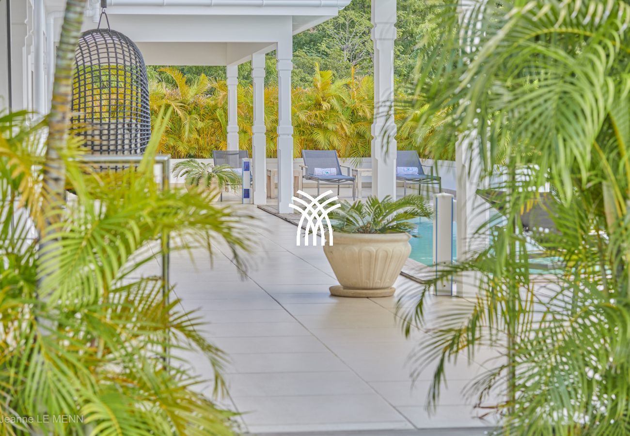 Villa à Saint Barthélemy - Cactus