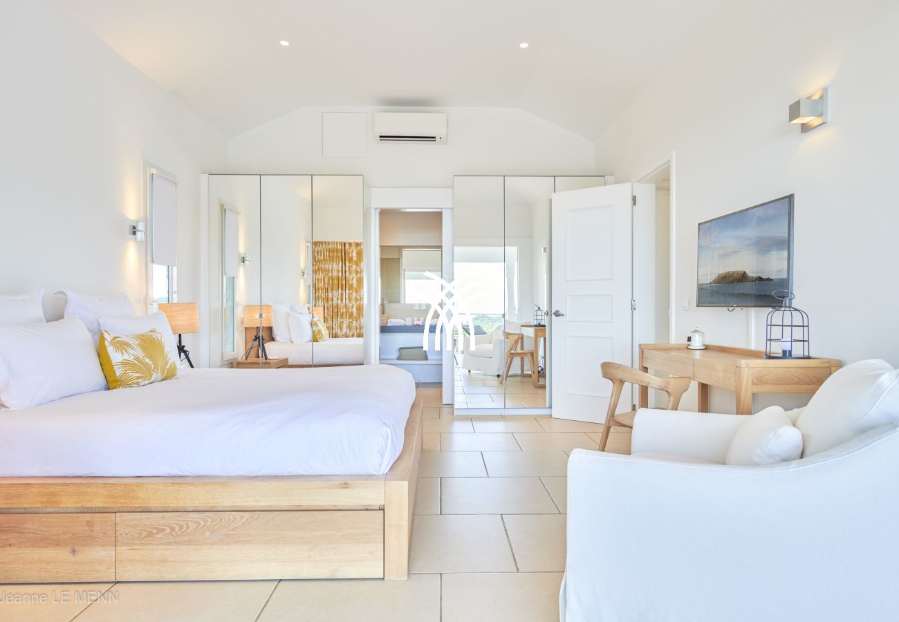 Villa à Saint Barthélemy - Cactus