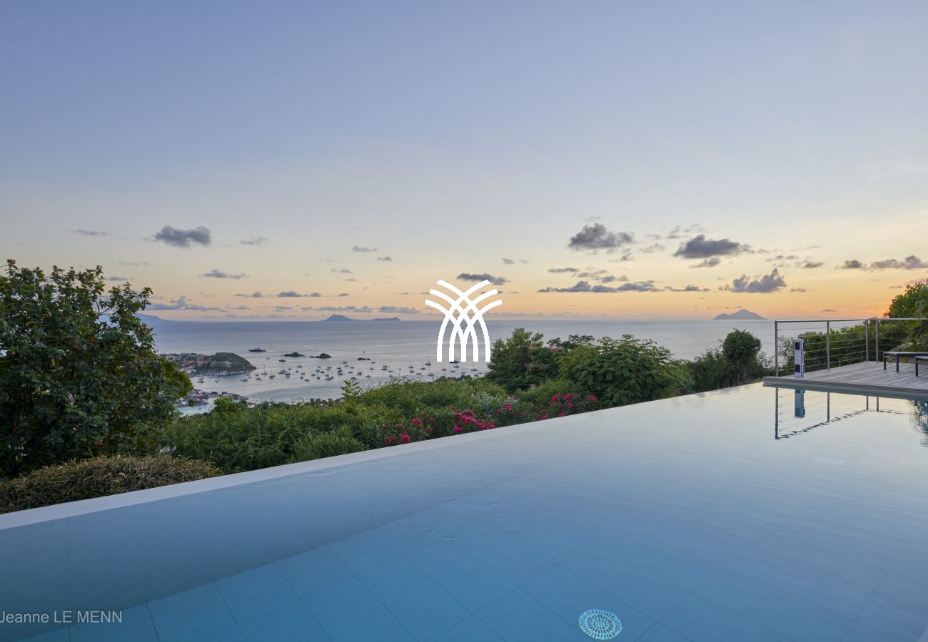 Villa à Saint Barthélemy - Cactus