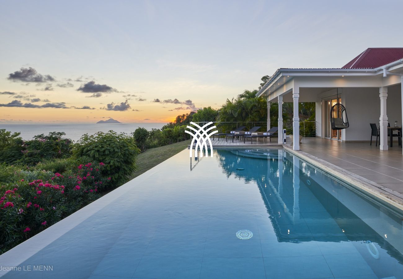 Villa à Saint Barthélemy - Cactus