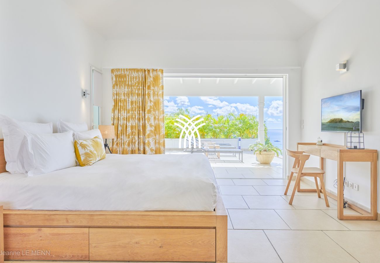 Villa à Saint Barthélemy - Cactus