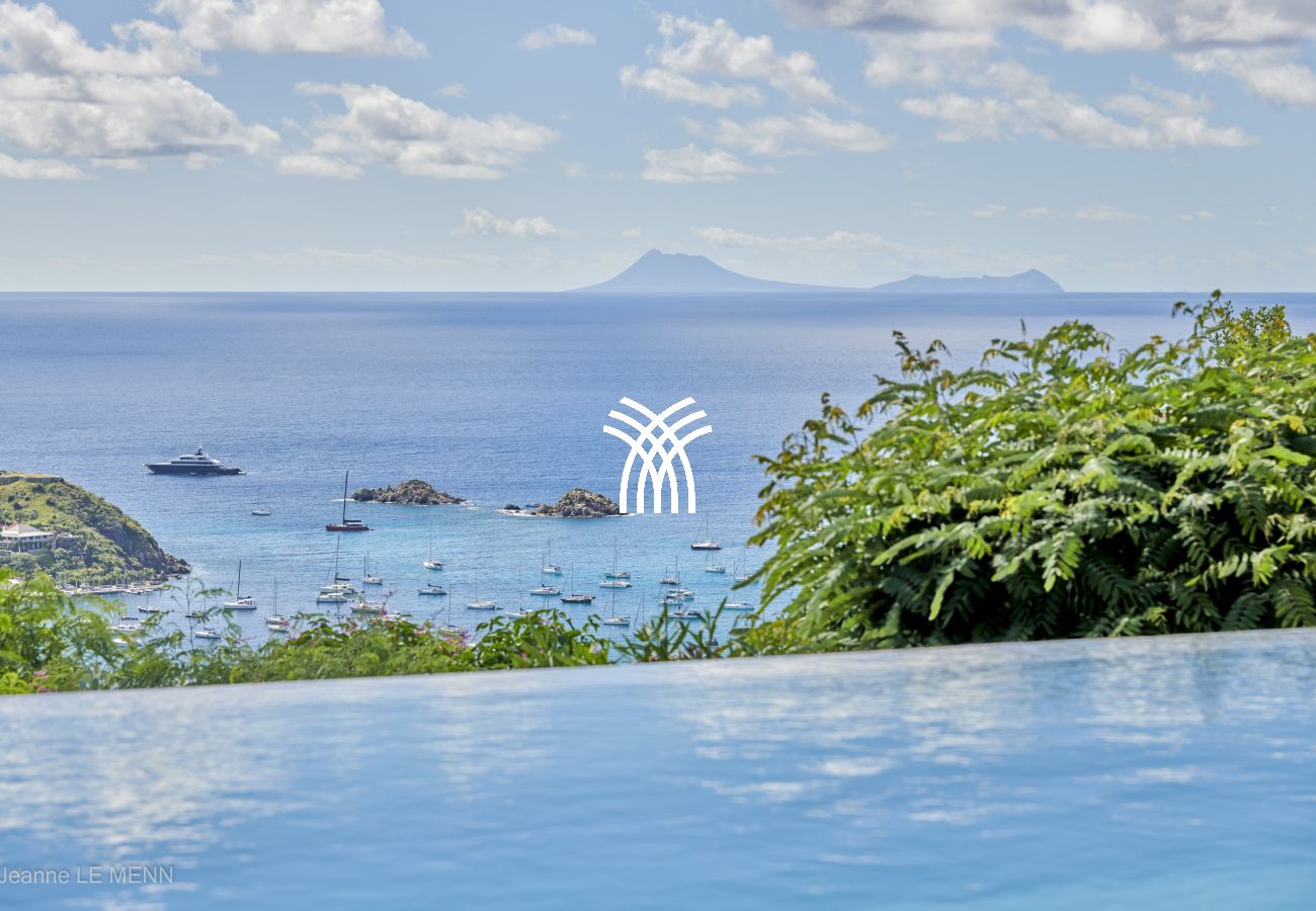 Villa à Saint Barthélemy - Cactus