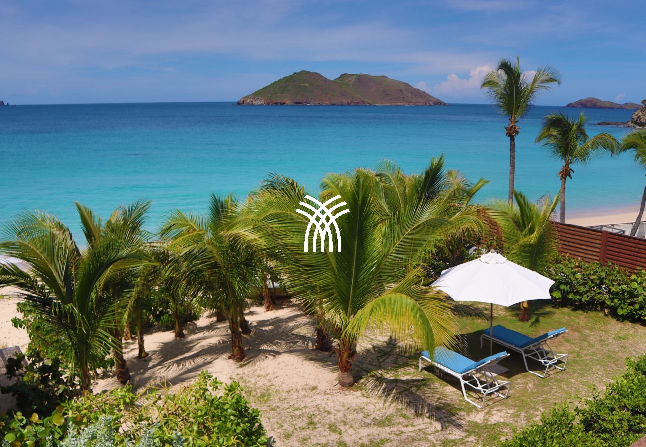 Villa à Saint Barthélemy - Celina