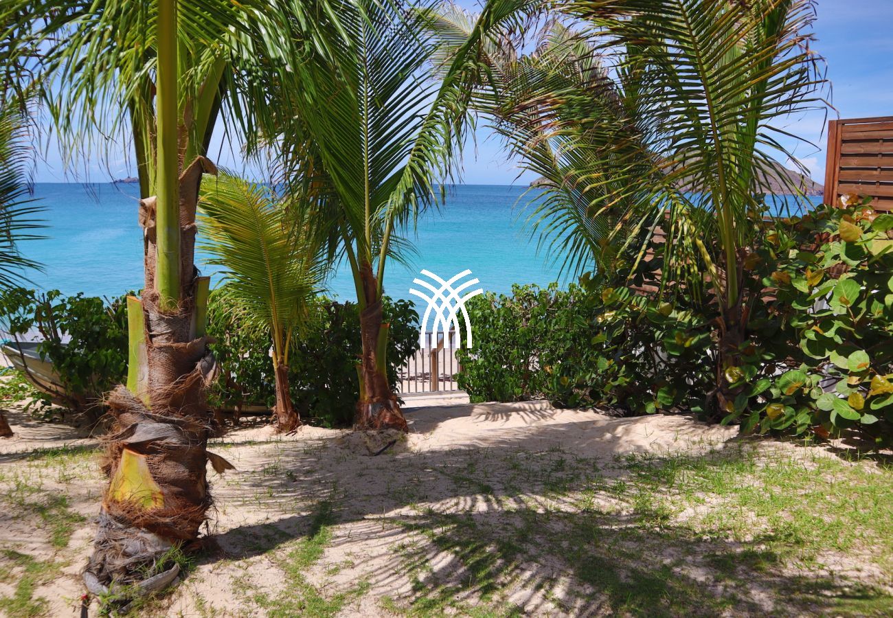 Villa à Saint Barthélemy - Celina