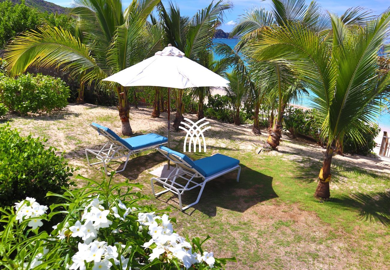 Villa à Saint Barthélemy - Celina