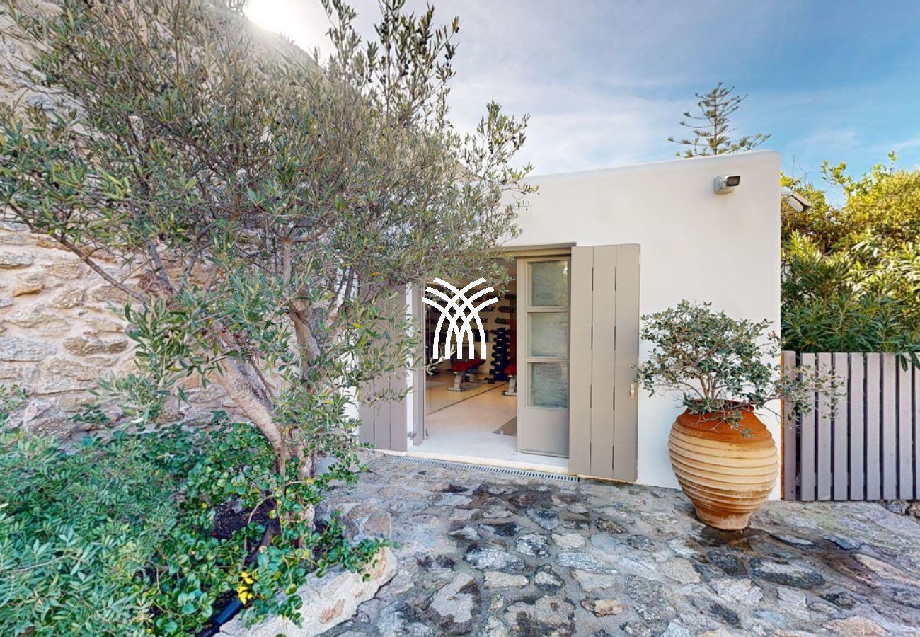 Villa à Mykonos - Kipos