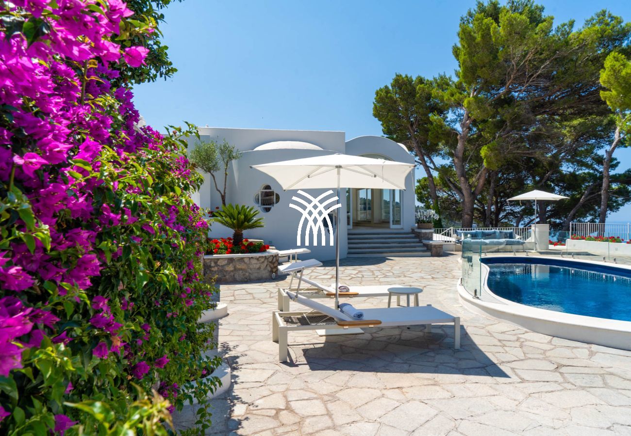 Villa à Anacapri - Giada