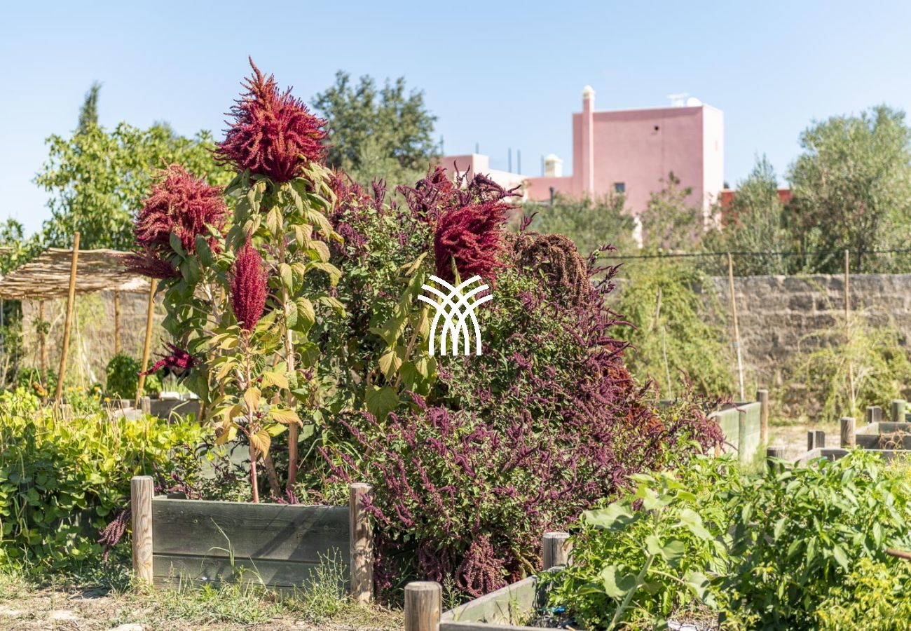 Villa à Novoli - CasinAnand