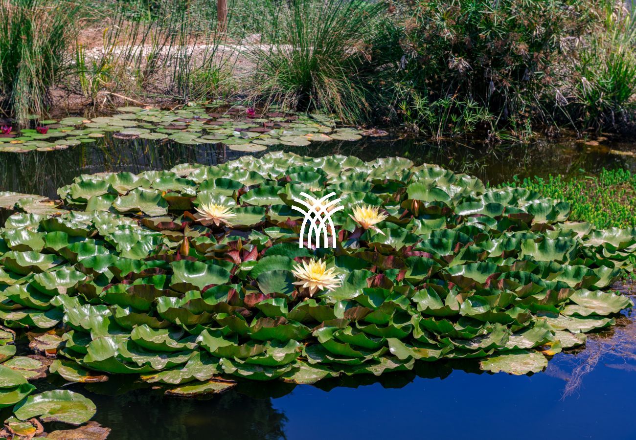 Villa à Novoli - CasinAnand