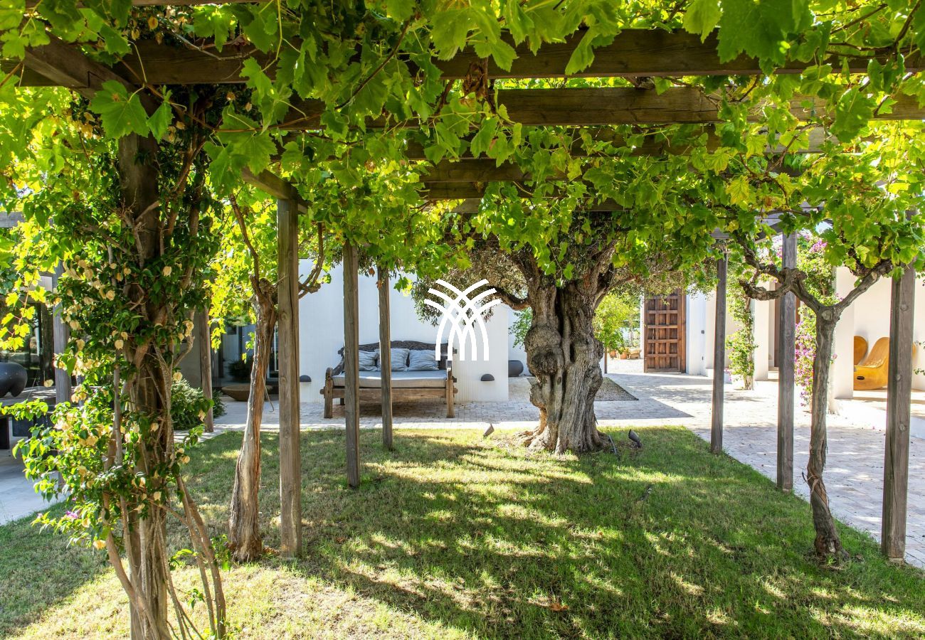 Villa à Ibiza - Viviana