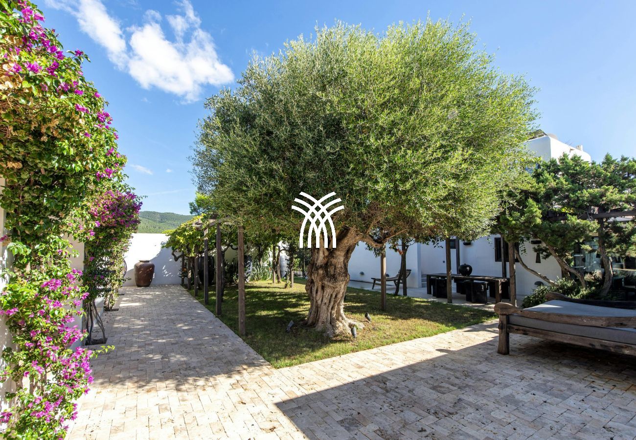 Villa à Ibiza - Viviana