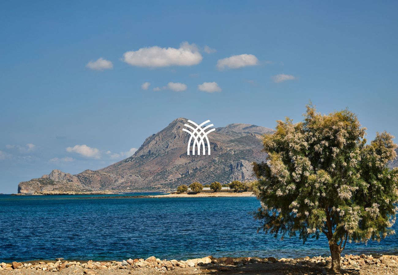 Villa à Kissamos - Metochi Lodge