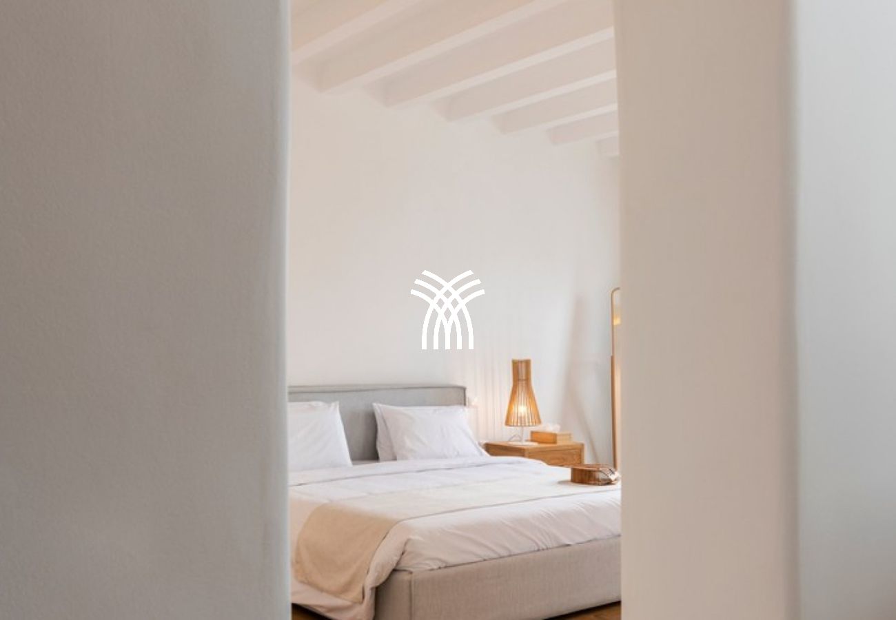 Villa à Mikonos - Lavan