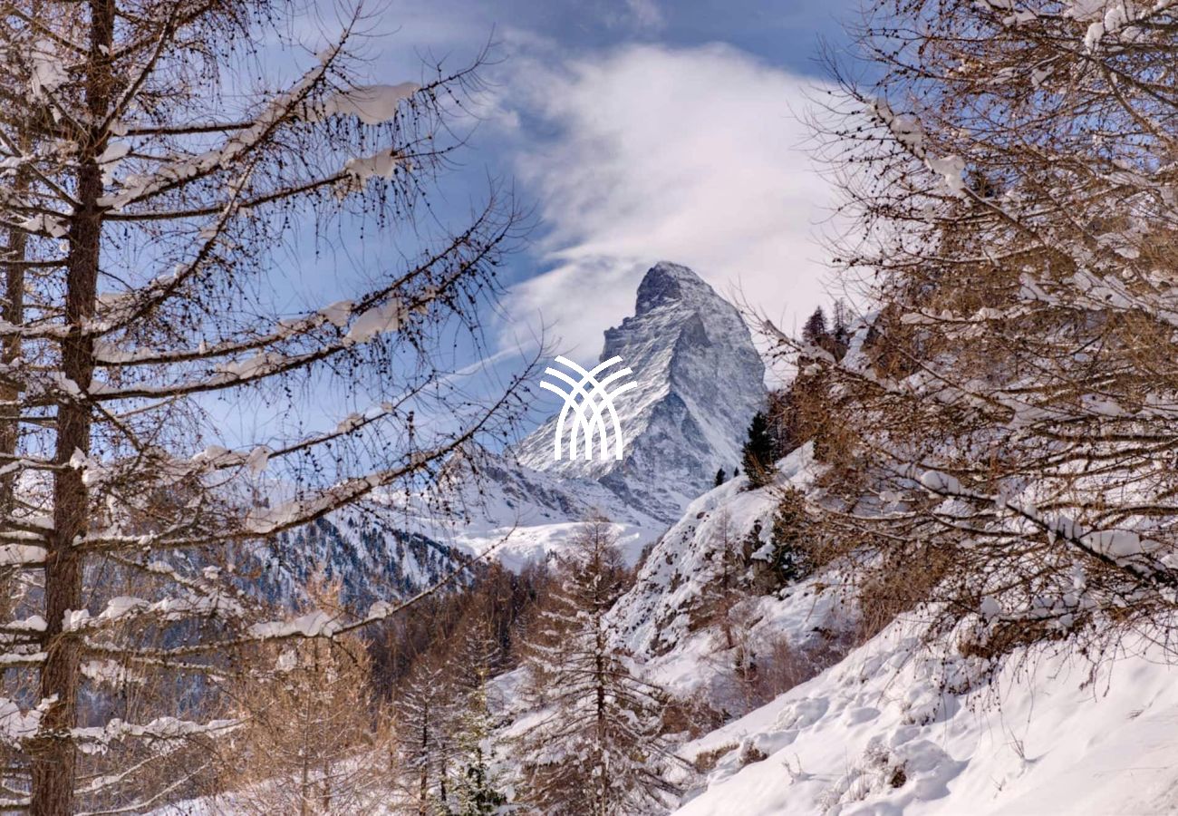 Chalet à Zermatt - Vanilla Orchid