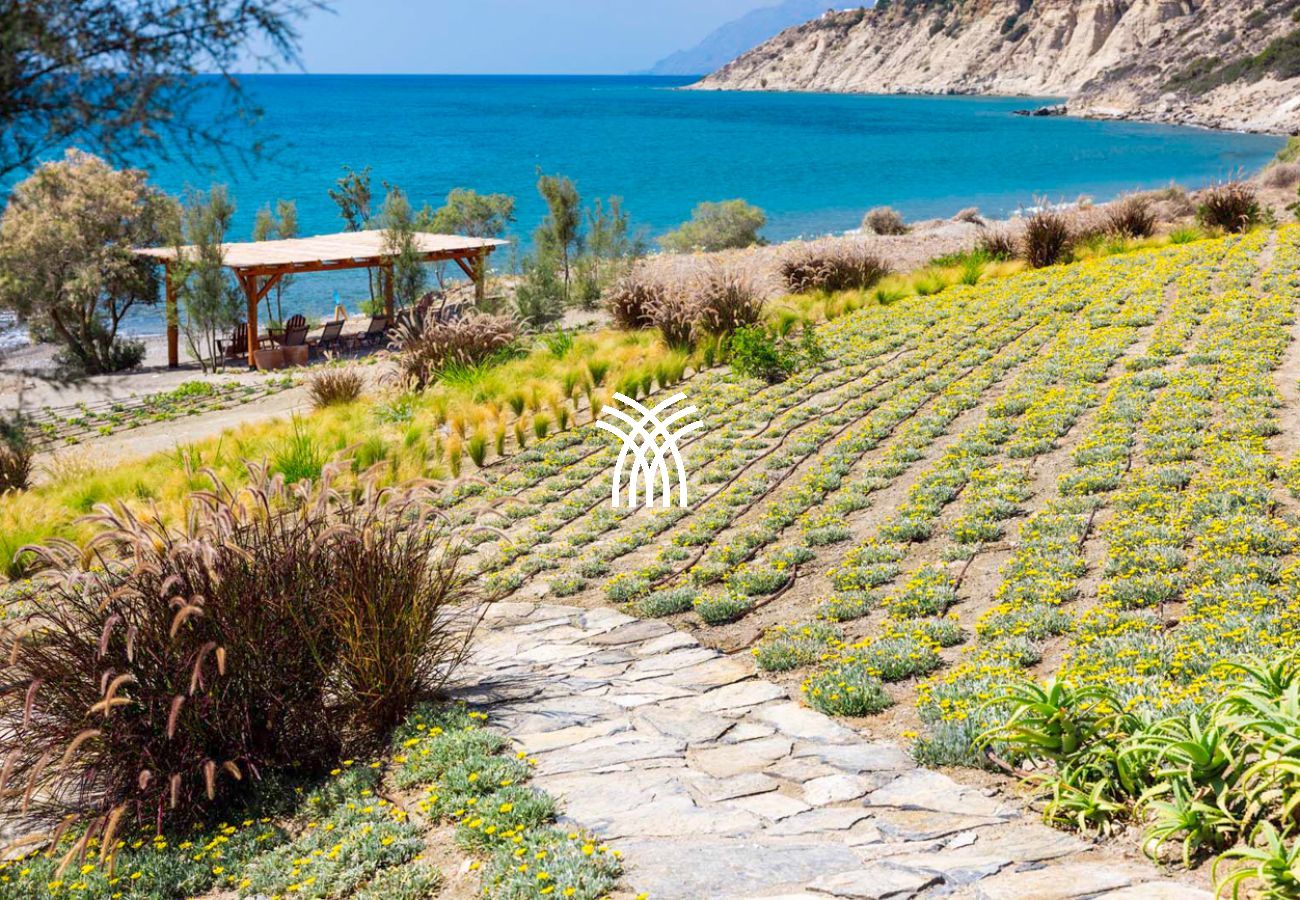 Villa à Ano Viannos - Arvi East