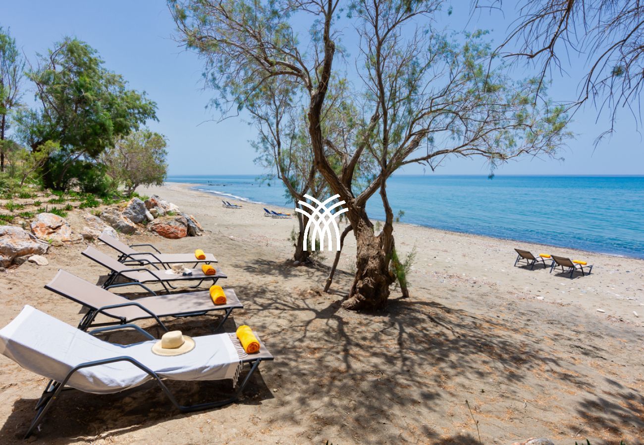 Villa à Ano Viannos - Arvi West