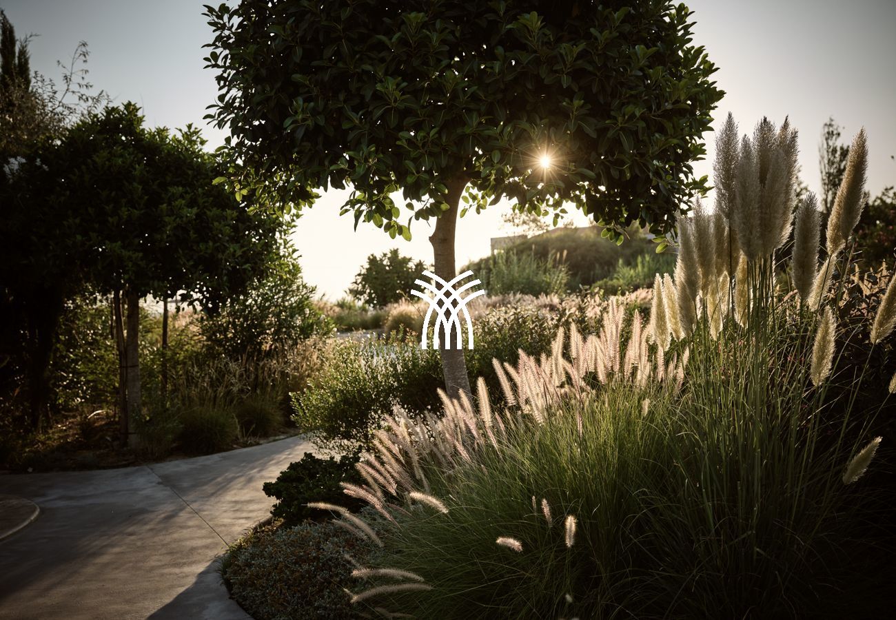 Villa à Tsilivi - Jasminia