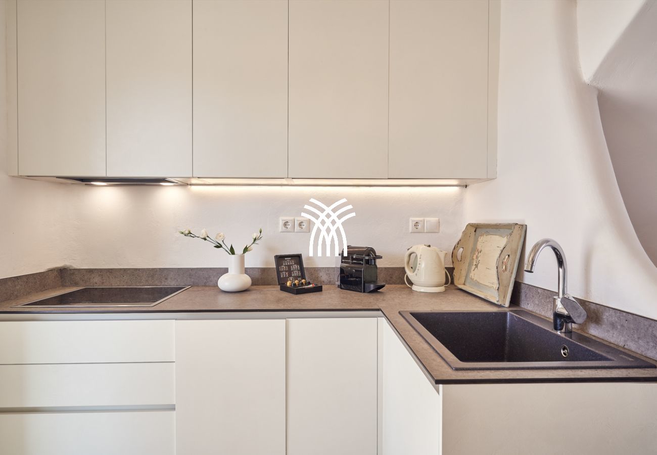 Villa à Mykonos - Petrolefko