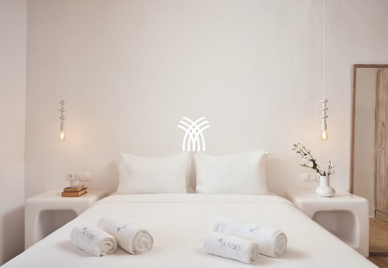 Villa à Mykonos - Petrolefko