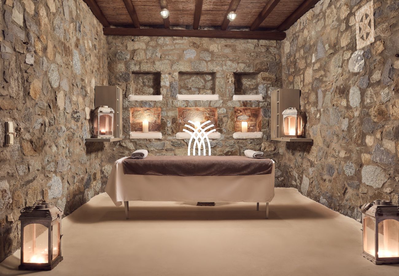 Villa à Mykonos - Petrolefko