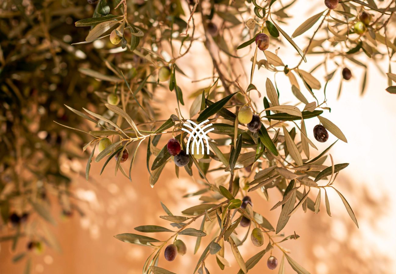 Villa à Formentera - Can Noves