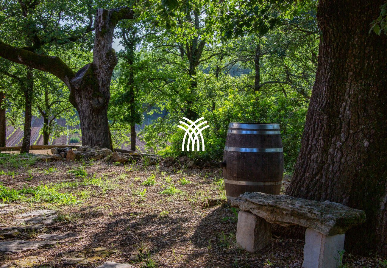 Villa à Saint Remy de Provence - Bergerie Aquino