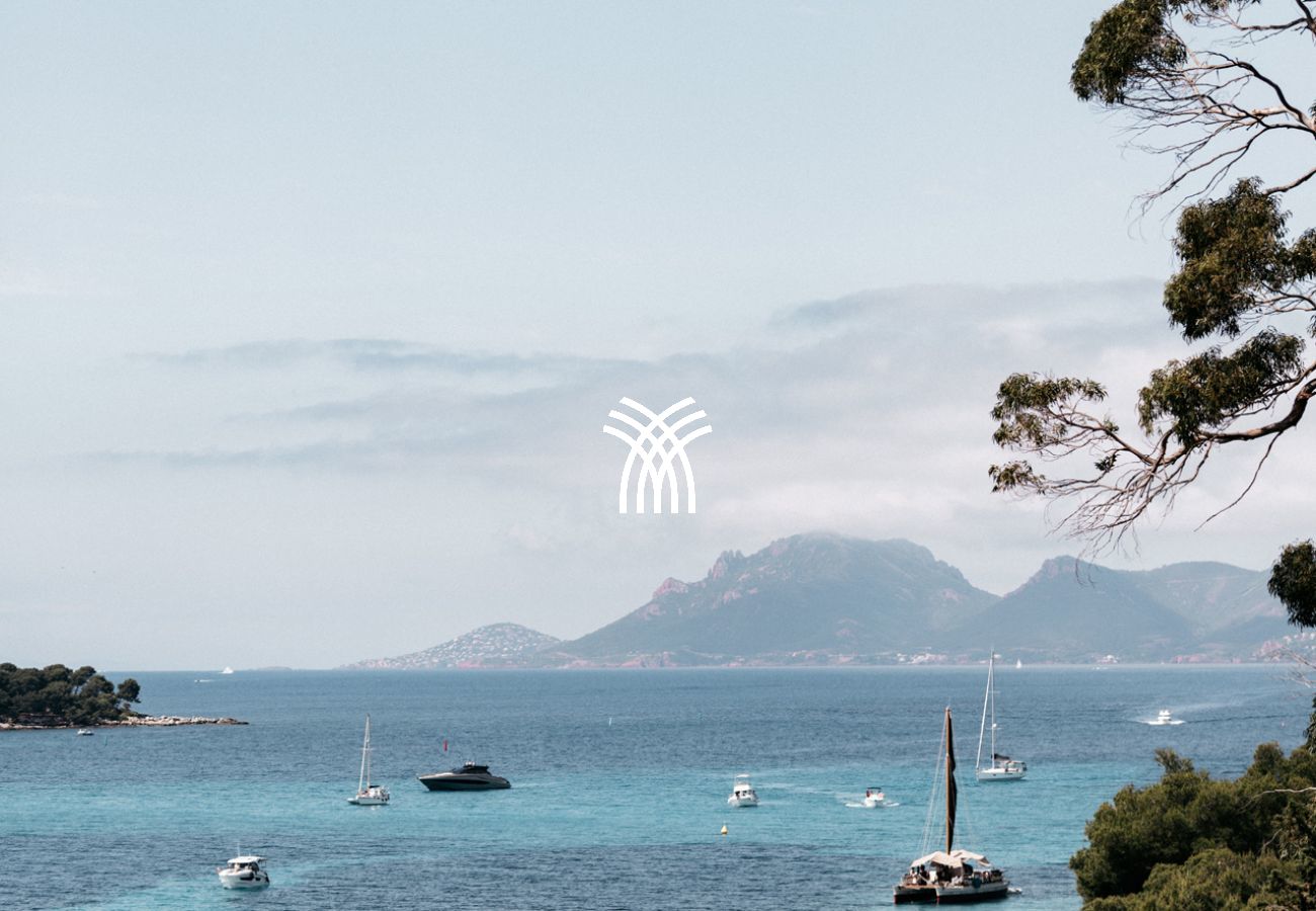 Villa à Cannes - Le Grand Jardin