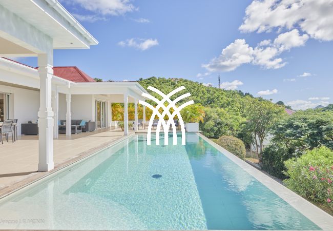 Villa in Saint Barthélemy - Cactus