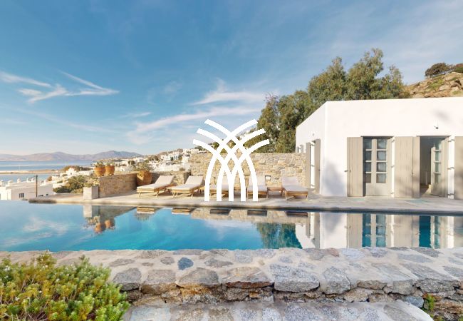 Villa in Mykonos - Kipos