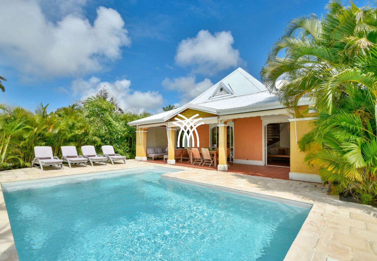 Villa in Saint-François - Cattleya