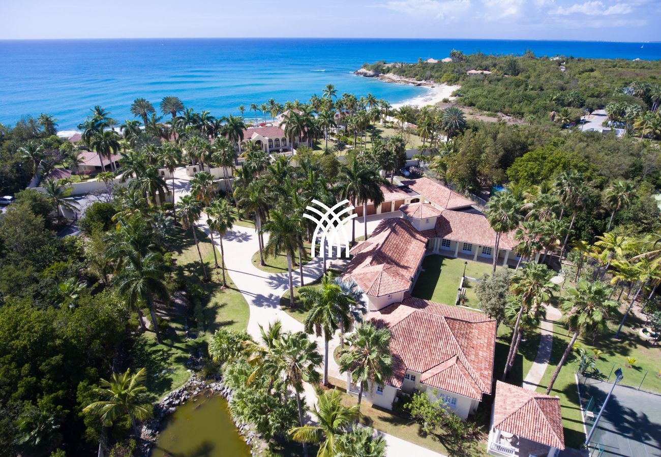 Villa in Terres Basses - Chateau des Palmiers