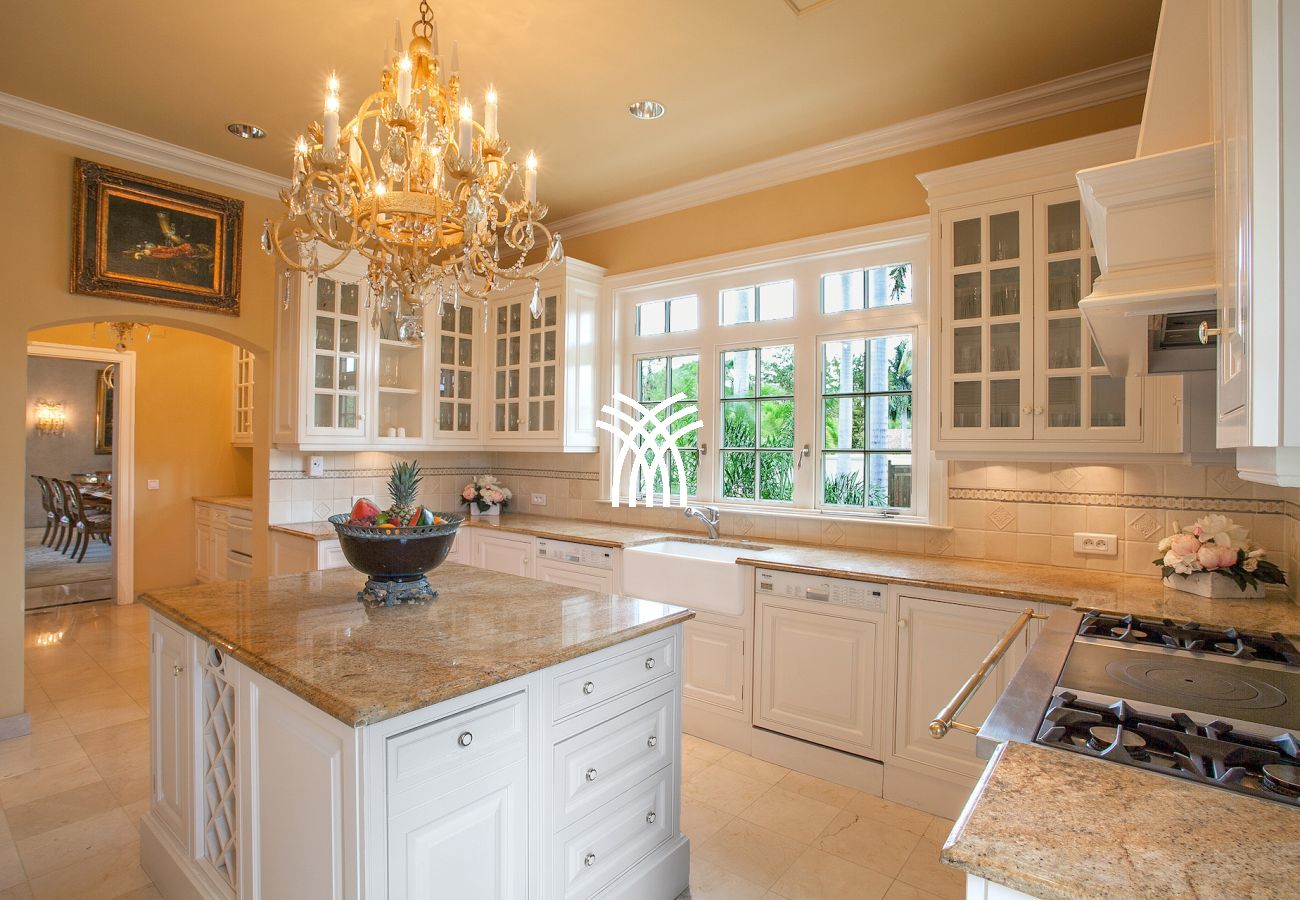 Villa in Terres Basses - Chateau des Palmiers