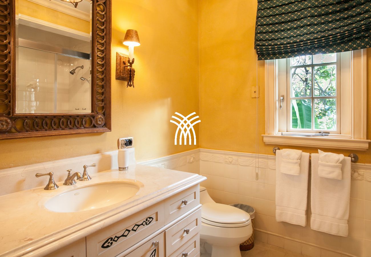 Villa in Terres Basses - Chateau des Palmiers