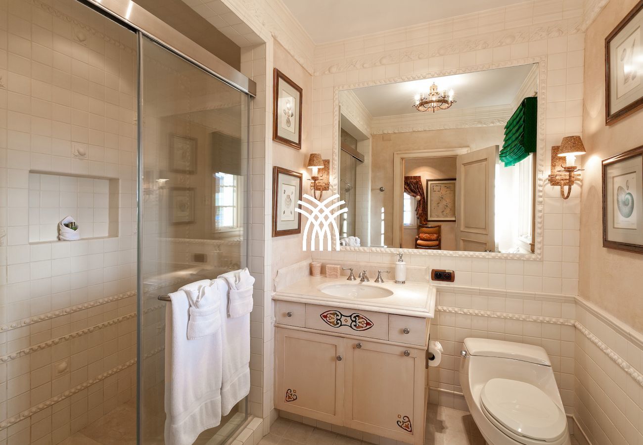 Villa in Terres Basses - Chateau des Palmiers