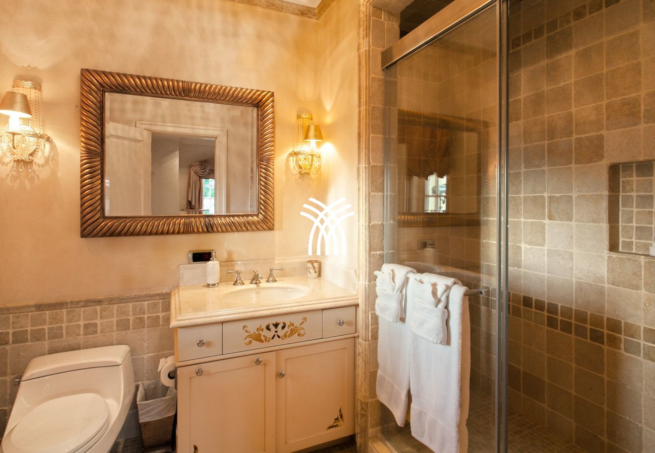 Villa in Terres Basses - Chateau des Palmiers