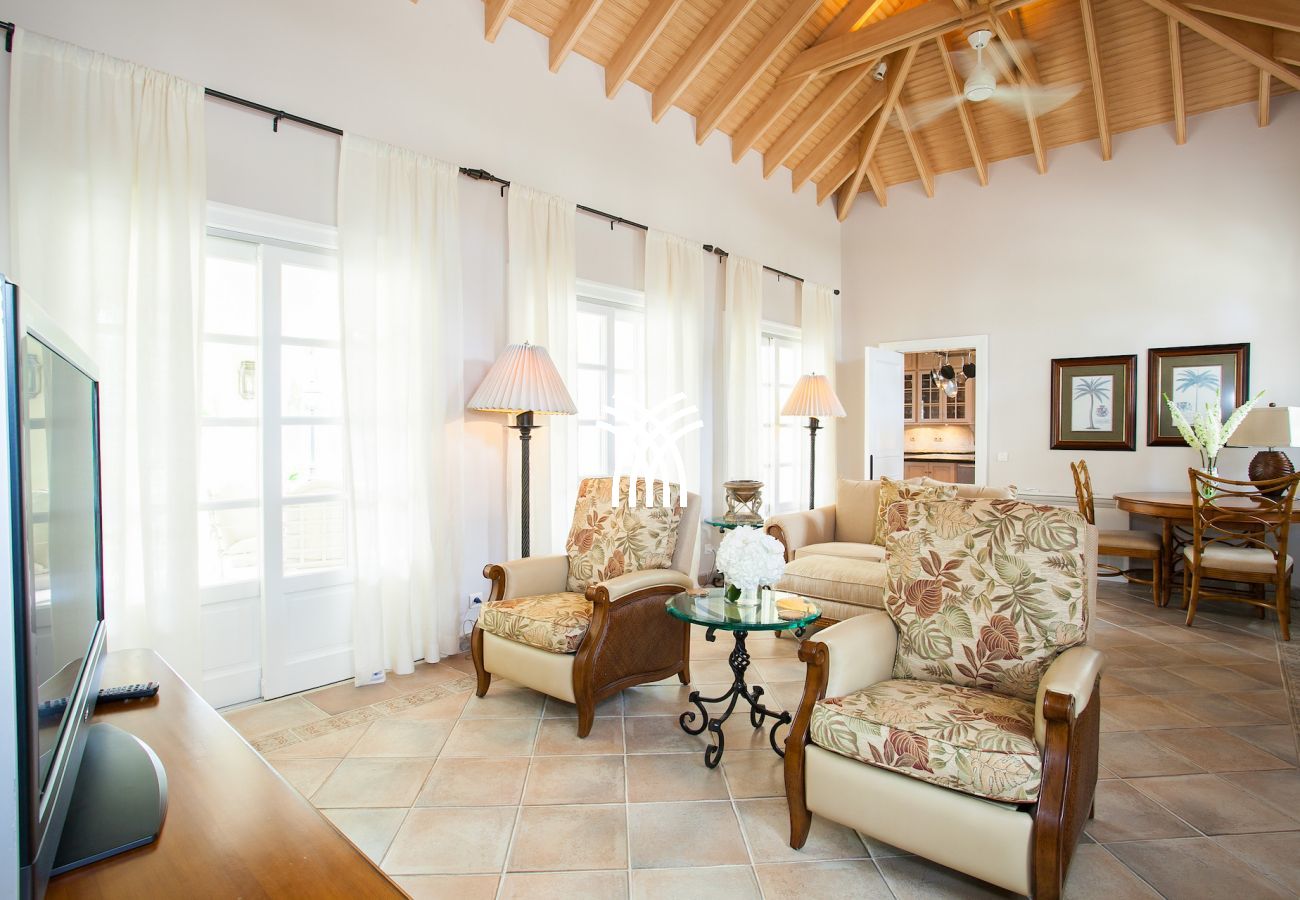 Villa in Terres Basses - Chateau des Palmiers