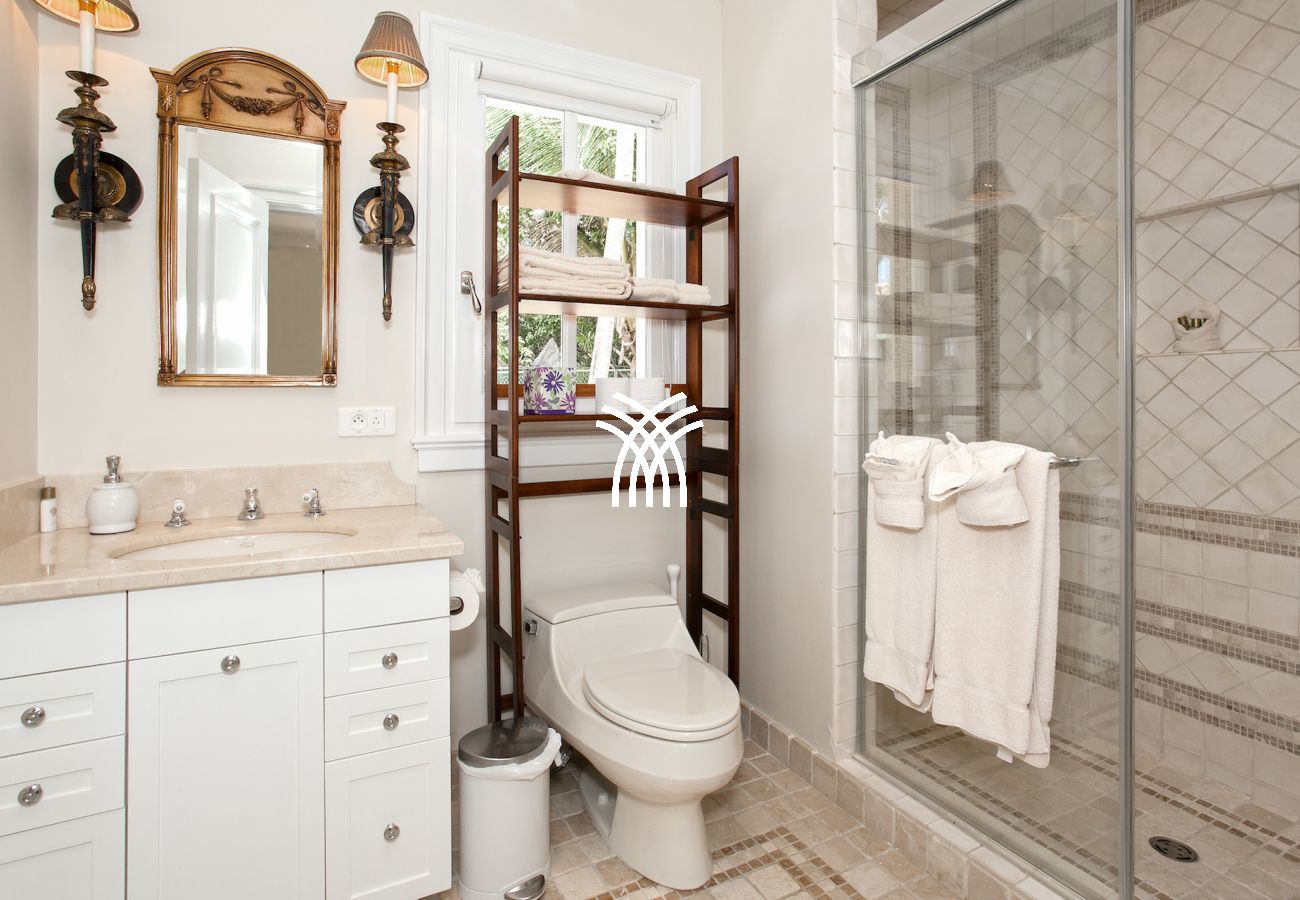 Villa in Terres Basses - Chateau des Palmiers