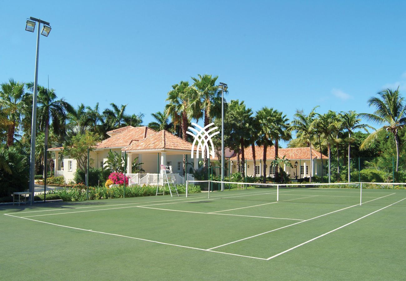 Villa in Terres Basses - Chateau des Palmiers